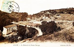 Alger - Le Ravin de la Femme Sauvage